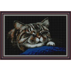 Рисунок - схема на ткани - "Котя"