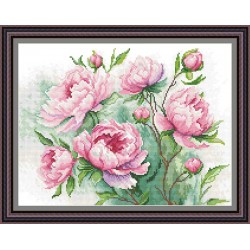 Рисунок - схема на ткани - "Очарование пионов"